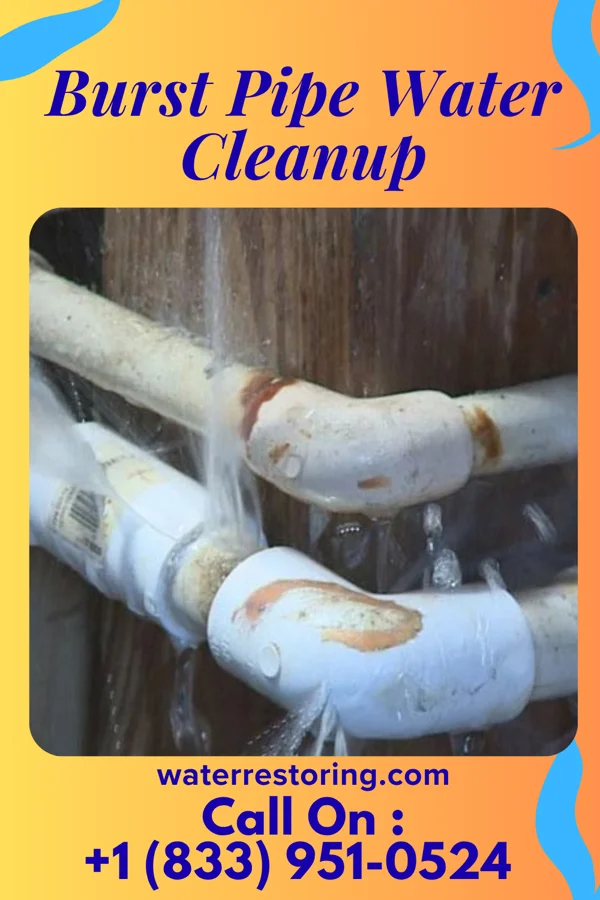 Burst Pipe Water Cleanup in Alligator, MS