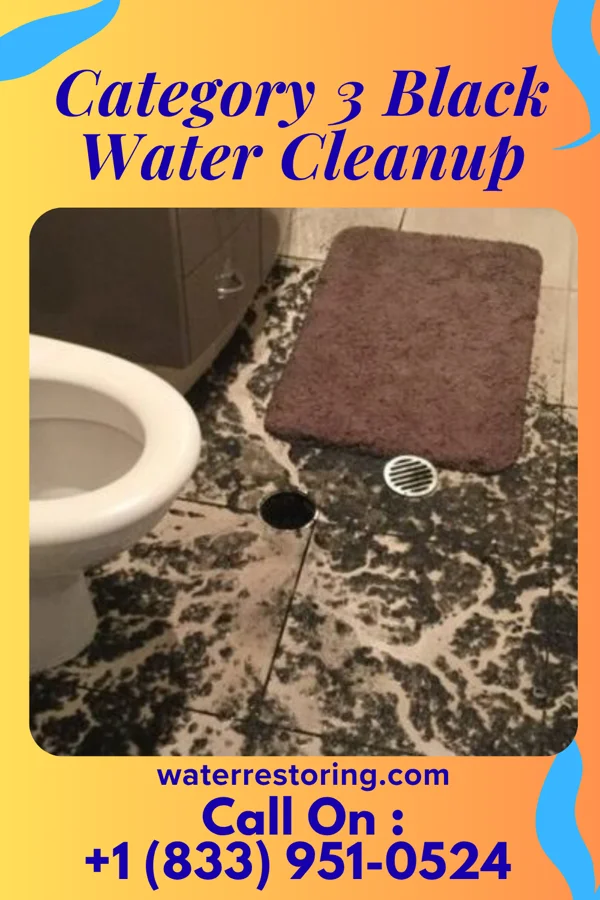 Category 3 Black Water Cleanup in Alligator, MS