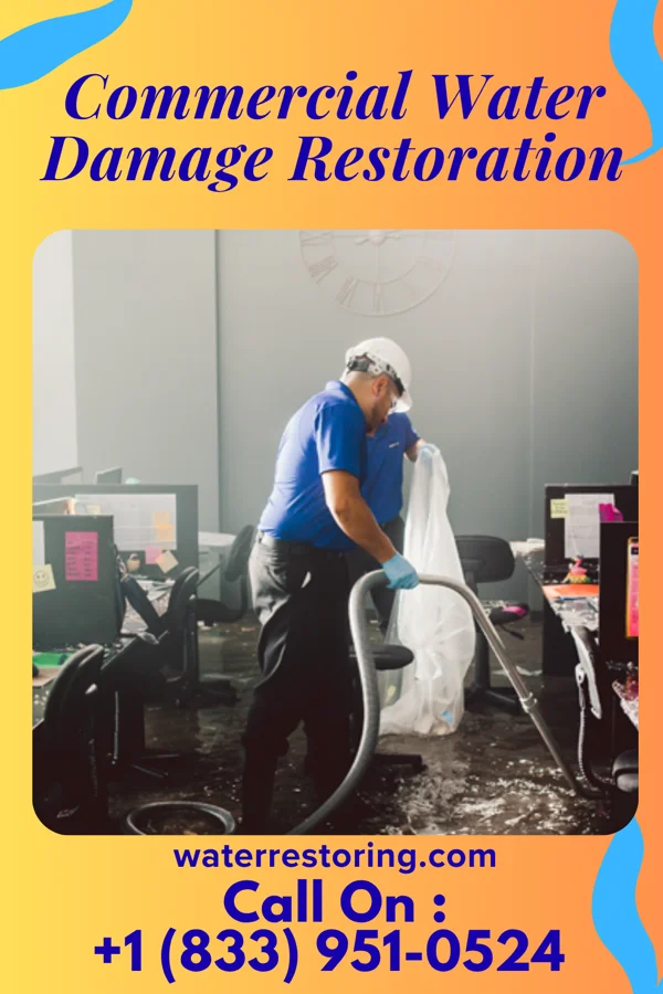 Commercial Water Damage Restoration in Alligator, MS