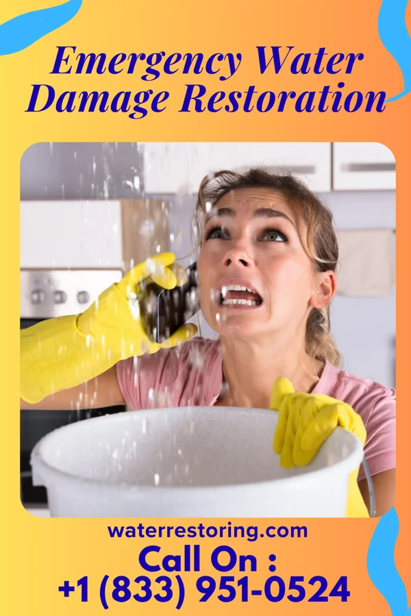 Emergency Water Damage Restoration in Alligator, MS