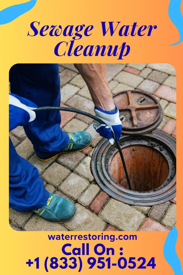 Sewage Water Cleanup in Alligator, MS
